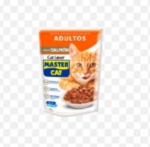 Sachet salmon master cat 85g